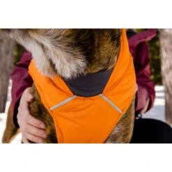 Ruffwear Quinzee™ Hundejacke Orange M 21 Ruffwear Quinzee™ Hundejacke Orange M -Haustierparadies 001bdf29a34dffebf7840b4a759030f83c299732 1370013 de DE 17dd615b14a3a705025267b6458fddf099eb308bn8H5c2