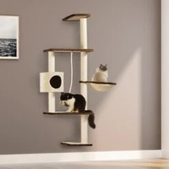 Silvio Design Wandkratzbaum Mabel -Haustierparadies 00d394709fdae2fe14716fa5745b36c74ff03f54 cc5b403e8381af2309c72762799eeee1ad8c4563