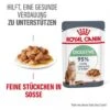 ROYAL CANIN Digest Sensitive 12 X 85 G 1 ROYAL CANIN Digest Sensitive 12 X 85 G -Haustierparadies 02cd4f8503e56273aee38cea6f577cdce78ac71b 1100873 1