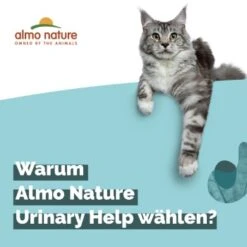 Almo Nature Almo Holistic Urinary Help 30x70g Mit Fisch 9 Almo Nature Almo Holistic Urinary Help 30x70g Mit Fisch -Haustierparadies 060c8767b8c7969b21cac8aabe9818c799d04626 1479698 2 de