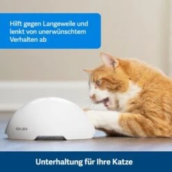PetSafe Automatisches Katzenspielzeug Fox Den -Haustierparadies 08408a2d9006c3b10c605053b082403622980ada 1351524 de DE 8502feb5da21e0ab937dc8c82ecaeac4aebee886lllVcE