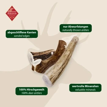 ChronoBalance Rothirsch Geweihstange Ganze Und Runde Stücke 300 G 8 ChronoBalance Rothirsch Geweihstange Ganze Und Runde Stücke 300 G – Bild 6