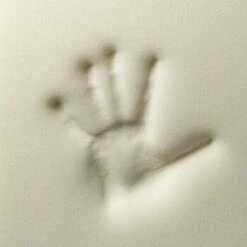 Rexproduct Otto Orthopädisches Hundebett Grau S-XL Dunkelblau S -Haustierparadies 0a085c33b981ff53ff5c2db922a9af6509d03236 1478625 de DE 4a05f204198aead29f7c6fcb2b828fd649f99213Eqwpeb