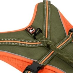 Dogs Creek Sicherheitsgeschirr Revolution S -Haustierparadies 0a0dbbc5dd46a01b17e0b46d03593baade21f17d 1396873 2