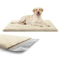 Knuffelwuff Kälteabweisende Und Wärmeisolierende Thermodecke Beige L -Haustierparadies 0d048450d3677bbe66ac815d46c1573d77ebc64b 1411793 de DE 26a54309e701e992732d9c1d25392889d55befc3ZZNFAK