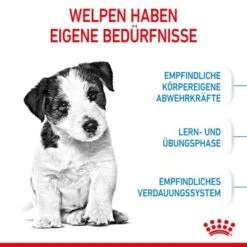 ROYAL CANIN Mini Puppy 8 Kg -Haustierparadies 0db85d35fb9500f3497c85c0c60f2b0e3011b6f5 3182550793049 4