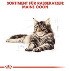 ROYAL CANIN Maine Coon Adult 10 Kg -Haustierparadies 0dcdda8125bffac6c60d8bc613414dd3e537f3f9 4a409b86bb290f85c8a45c0d5080bc56aabf2ae3