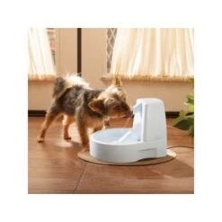 PetSafe Drinkwell Trinkbrunnen Original, 1,5 Liter -Haustierparadies 0eafb4742dba6833f9a27c15a06f970e4cd3a735 e5e9d8abdbe4501019d4b3506e15c02aeff7b01c