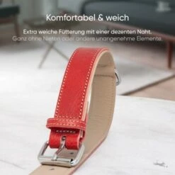 Freudentier Gefüttertes Halsband Aus Leder Rot L -Haustierparadies 0f630c6f0729806bc3c30ba5c2b9c3d909c228ee 1655241 de DE 198e5678649df51bbe133097f6107207e25ec907R9K85V