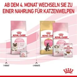 ROYAL CANIN Mother & Babycat 2 Kg 12 ROYAL CANIN Mother & Babycat 2 Kg -Haustierparadies 0fe8497acfc1380792b3bad8590087c6f2d67d34 3182550707329 6