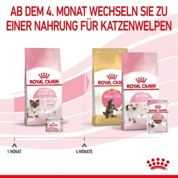 ROYAL CANIN Mother & Babycat 2 Kg 6 ROYAL CANIN Mother & Babycat 2 Kg – Bild 4
