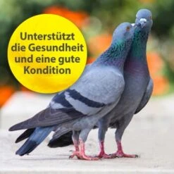 Quiko Multivitamin 375 G -Haustierparadies 104df2b21f8fd9e32b99e367a9a5b3569dbad191 1387633 de DE f867bf42cdcdb7e6959667b1210fedd6d7d4c069gH7Wsa