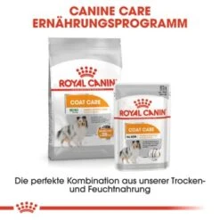 ROYAL CANIN Coat Care Mini 8 Kg 13 ROYAL CANIN Coat Care Mini 8 Kg -Haustierparadies 133c840af8d235b272661b5446582ca68fb80847 2a2f1d08d73392c49ccc2444029f0ea868710279