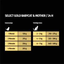 SELECT GOLD Babycat & Mother Pastete Huhn 12x85 G -Haustierparadies 16f6e0f0a8dec64092bb76bac74e7a426373a332 1367186 de DE 7