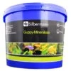 Silbermann Mineralsalz Guppy -Haustierparadies 17243a58fc769bd05f7d4183d569a9059c2fac70 1653349 de DE 671c959842b5aa1f554d98a53f2e92608d147407VoveKq