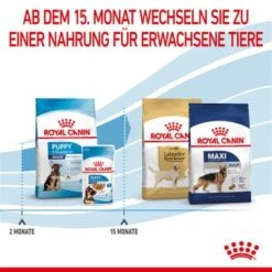ROYAL CANIN Maxi Puppy 10x140g 12 ROYAL CANIN Maxi Puppy 10x140g -Haustierparadies 17d6a46cce4fc07e8a098006747b779e3adfee9e 3182550402163 7