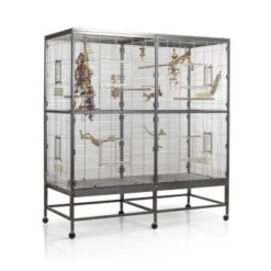 Montana Cages Voliere Paradiso 150 Hellgrau/ Dunkelgrau -Haustierparadies 18ba083edb0de876ccf5b0842e5ec66e58f4e40e 1330426 de DE aad8576b1012096cad7c6ad4bef4004a9f82125c6IAFCl