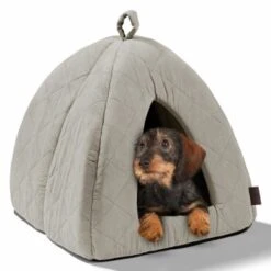 MORE Höhle Diamond -Haustierparadies 1901edb64570eb8cb38c0e72458280ff138dcb40 856e9f8ef094dc77c4e2ce9e6d85768bffa721c6