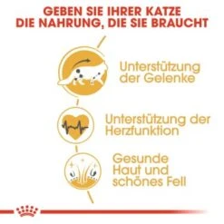 ROYAL CANIN Maine Coon Adult 10 Kg -Haustierparadies 193838012faba50961af8a6b1972f50353f3759f 0ec5240d9e0a92eb32a4d9b7f4fda22d682f9237