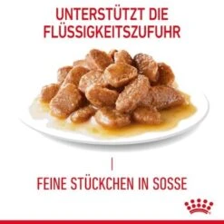 ROYAL CANIN Digest Sensitive 12 X 85 G -Haustierparadies 1c3751f82f007a23a2b4dcf057ef7b369bae0d41 1100873 4