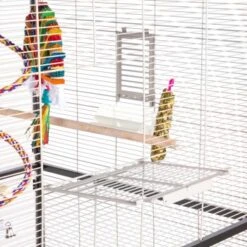 Montana Cages Voliere Paradiso 120 Hellgrau/ Dunkelgrau -Haustierparadies 1c842f90892054aed2e7d5c892280c11e89fe74b 1200893 de DE 93edbe7d4f0e092dd8649cc255466a331806c29emAqrjU