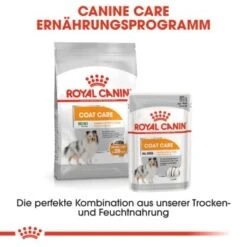 ROYAL CANIN Coat Care 12x85g -Haustierparadies 1cdde2a3a8e638ca27091764fffb97571c4d3ed0 fb5aad8156954e6ac47318352032b17eff3c4b05