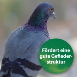 Quiko Spirulina 250 G -Haustierparadies 1d197f2e004bf765dcdb99f3cb777c57285c03ed 1387640 de DE 185e18e93f54cb0130b70ffb741d9e21c1c0250eZ39B4c