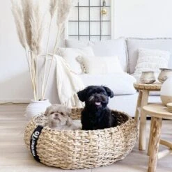 District 70 COCOON Natural M -Haustierparadies 1db584284c497361442002ba80ca8dd9597a35b9 1ad367312153dfaf420d5600b6e8e9dac5cec798