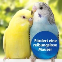 Quiko Biotin M 150 G: Unterstützt Die Mauser Von Ziervögeln -Haustierparadies 1edb379122303e5bd6851c962595f5914d97ad79 1386532 de DE d423967889f663d8a9511c722121183787861b26YUo6R2