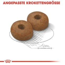 ROYAL CANIN Maxi Ageing 8+ 15 Kg 13 ROYAL CANIN Maxi Ageing 8+ 15 Kg -Haustierparadies 1f74576074b08980312d66192abbc5a6880d5273 2360df0e5dfbf003993ef0adda759c1148140b01