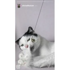 Kater Kasimir Premium Katzenangel Set Aus Buchenholz Mit 4 Handgemachten Anhängern -Haustierparadies 21dd16f50076a5d627c45258925f2847665d22a7 1422145 de DE ad7eb1e3270aeafca2a582afabb293db93269a7cF1epRY