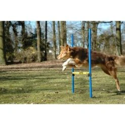 Dobar 3-teiliges Agility Sprung-Set,, Inkl. Tragetasche -Haustierparadies 23438a1c89953580debb447a4f2a6705cf109122 9daba483a29d35b05cf9df2cf0269c15e7db3ed2