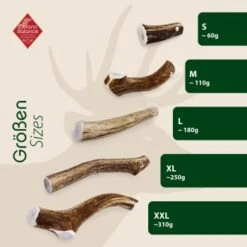 ChronoBalance Rothirsch Geweihstange Ganze Und Runde Stücke 300 G 12 ChronoBalance Rothirsch Geweihstange Ganze Und Runde Stücke 300 G -Haustierparadies 26abec1cc05fc1329a555525fdb7a71f1bde973b 1409643 de DE b53ead287655d4956b27f33d8e355158a7ac55de6JKqvP