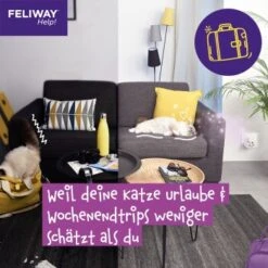 Feliway Help! 3x Nachfüllkartusche Zur Stressreduzierung -Haustierparadies 29ae770ba9b7f1bf9cec9031f7a2f9aa2f9f9bf4 1380137 6