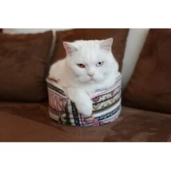 Canadian Cat Company Katzenschiff LUNA 11 Canadian Cat Company Katzenschiff LUNA -Haustierparadies 2a794931f9263820d298c92486fc08c7b5fe3a35 1412669 de DE 46780a4b5da8fe052e5be00462eb02991658c41f2ZgeMs