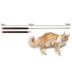 Schlitzohr Stabile Katzenangel Arnold -Haustierparadies 2b03aaa8061d454c3b132f3d29075b579f022315 1484671 de DE 4db6a969e0582cf4b987acff93cb66c6c6149da6OAB1hx