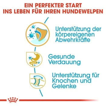 ROYAL CANIN Bulldog Puppy 12 Kg 9 ROYAL CANIN Bulldog Puppy 12 Kg – Bild 7