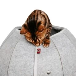 Canadian Cat Company Katzenhöhle In Kugelform S 13 Canadian Cat Company Katzenhöhle In Kugelform S -Haustierparadies 2ecb868df2d3b2cf90a9092caebd3c19caa20008 1347679 de DE 9620a1f8944edc55aec2b992d490644e015c022abD41s1