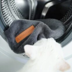 Schlitzohr Ersatzbezug Fensterbankliege -Haustierparadies 31be77f1e399f6136043e21b4738926da0a2a857 1484678 de DE ef0a822967d19fb8fa7e91c1bd57dd978a972d89UwPMnu