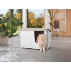 MORE FOR Katzentoilette XXL Titan -Haustierparadies 331a65ecbdbda6a54304894f23caf93293414f9a 41a7dcb3b92b8da7531785b268f381c1b25bbf04