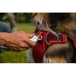 Ruffwear Flat Out™ Leine Blau/ Blau -Haustierparadies 3544b8595b7c4f96b60c20199e113353ae65b2dc 1364254 de DE bb049e0a96853f56720b231b22cacdb01683b50fjYrOT8
