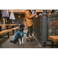 Ruffwear Stumptown™ Hundejacke Blau XL -Haustierparadies 359cbacf82d705be3919f1d9ff6060950d99f9f0 1370021 de DE db936eaaf7df218a109c67b8bbc4b3ab224548c6hLpnWZ