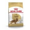 ROYAL CANIN Cocker Adult 12 Kg 1 ROYAL CANIN Cocker Adult 12 Kg -Haustierparadies 35b692965af79cafa0db2d2124d40d0740ee8bc1 1061209 de DE RCneu