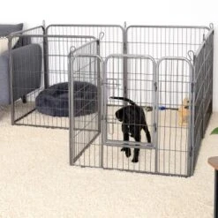 Lionto Freilaufgehege Welpen Gitterfreil 60 Cm, 1 Cm, 80 Cm 15 Lionto Freilaufgehege Welpen Gitterfreil 60 Cm, 1 Cm, 80 Cm -Haustierparadies 36b609c51e916046b581efda5ea6811e2c829bd8 1498016 de DE 794da90c9076c5cc9e9eae67a633691d7c219be8EE6Vlo