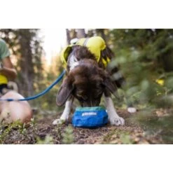 Ruffwear Trail Runner™ Napf -Haustierparadies 379fe16a7a50c8e71290f739965451bab58f5404 1651571 de DE cc80a2ec211d680722d58d483cd6e35959c0ef22Kohbda