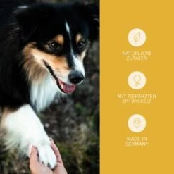 Mammaly Immu Push 110g 14 Mammaly Immu Push 110g -Haustierparadies 38b7917670f59d2a88ff5d6635a04535121b1ee9 1472893 5