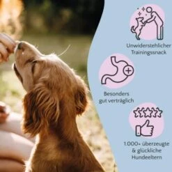 FAVLY Petfood Nature Cookies Pute 360 G -Haustierparadies 3c4584472c13d10f5e19d1e9ef96341ca6dec3b2 1474002 de DE 301bd8d5aa99f57312b9f6bf9f09f0b879ce5f08YRbuxr