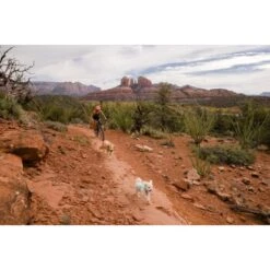 Ruffwear Swamp Cooler Zip™ Kühlweste Für Hunde Pink XL 21 Ruffwear Swamp Cooler Zip™ Kühlweste Für Hunde Pink XL -Haustierparadies 3f53abbb449b533ae19bdcc983422a810c1a6523 1639652 de DE 69e04235fc73e7ad617b0a7c576e77147e0d0f9aiqnSME