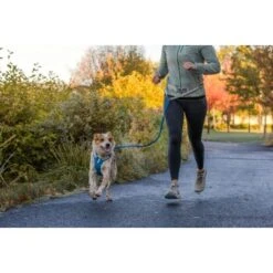 Ruffwear Hi & Light™ Geschirr Blau XXXS -Haustierparadies 41aa9c4a00fe4c7bd677e6ccec31c531dc5ce87b 1453085 de DE 6db29b23f729dce2900a7bb6a5d18331bf1f96e6Lf19bE