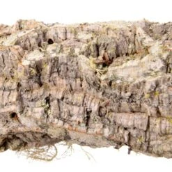 HappyBird Sitzstange Natur Kork L 14 HappyBird Sitzstange Natur Kork L -Haustierparadies 4219bfe3ca891eef1cb492a7d523955c5a87acdb 1416844 de DE 36da01729119466b9455d5ee60fee4c9e37394097Q8Hd8